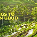 Top 10 Things To Do in Ubud
