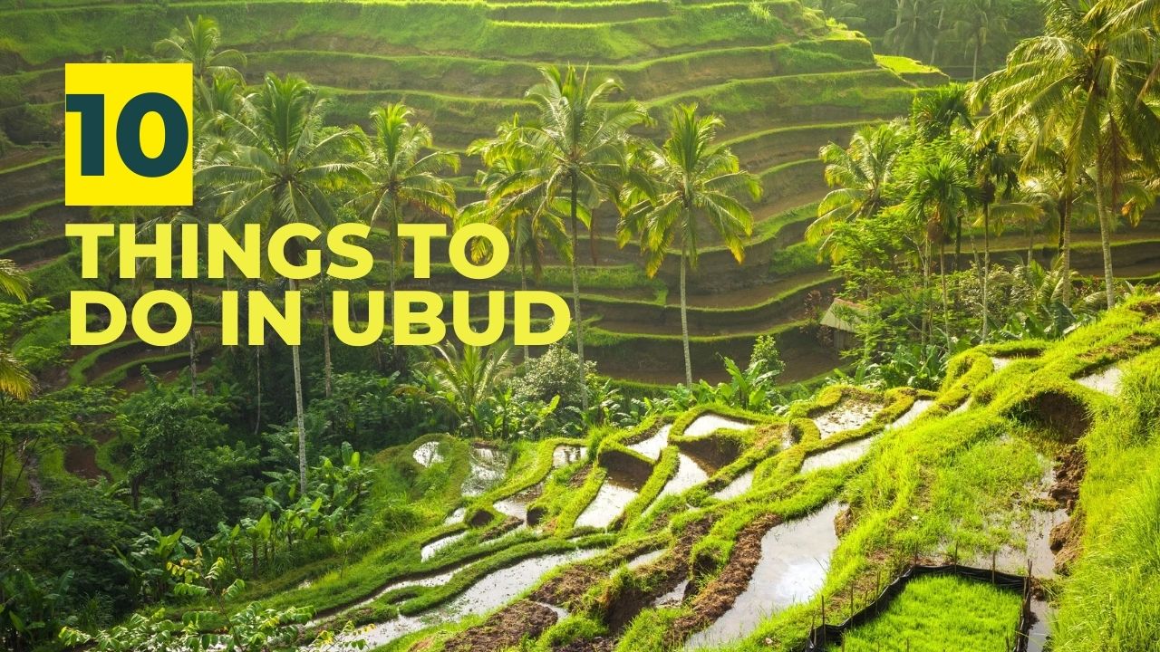 Top 10 Things To Do in Ubud