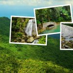 Ultimate Tour Guide to Explore El Yunque National Forest