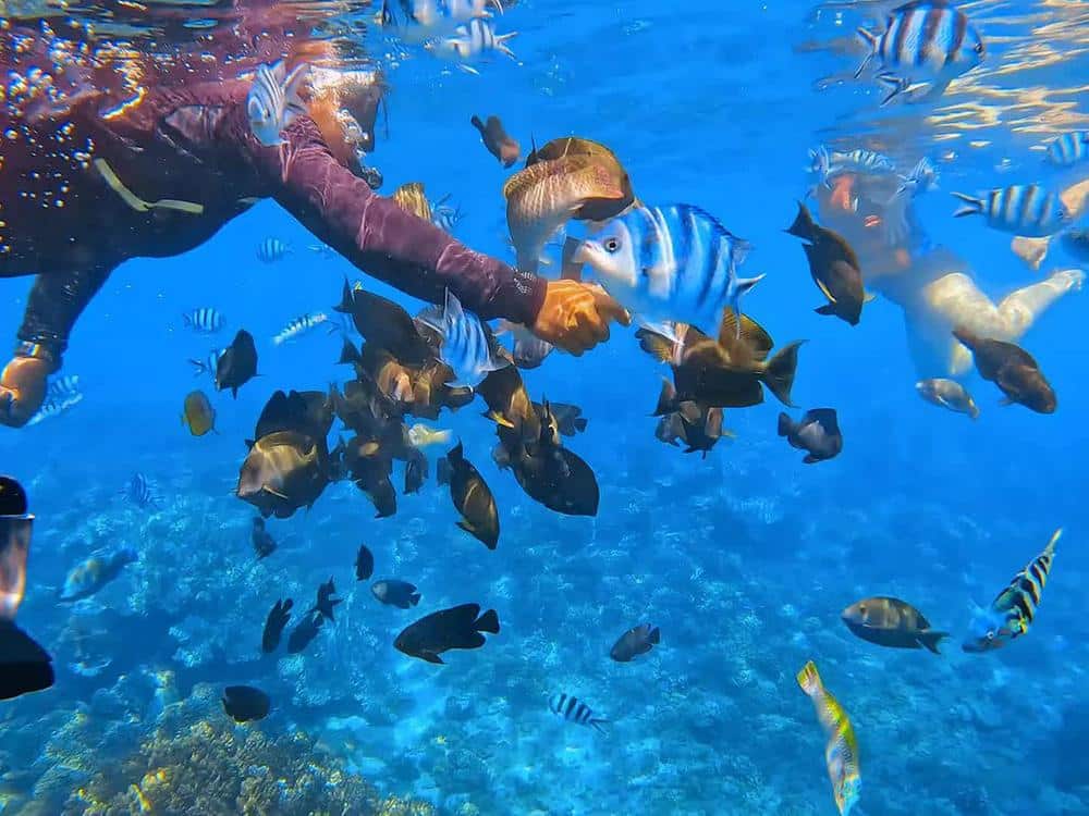 Blue Lagoon Padangbai Snorkeling