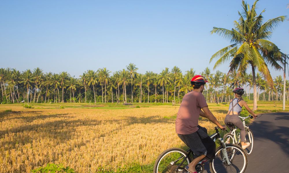 Cycling Through Bali's Rural Landscape