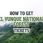 Get the El Yunque National Forest Tickets