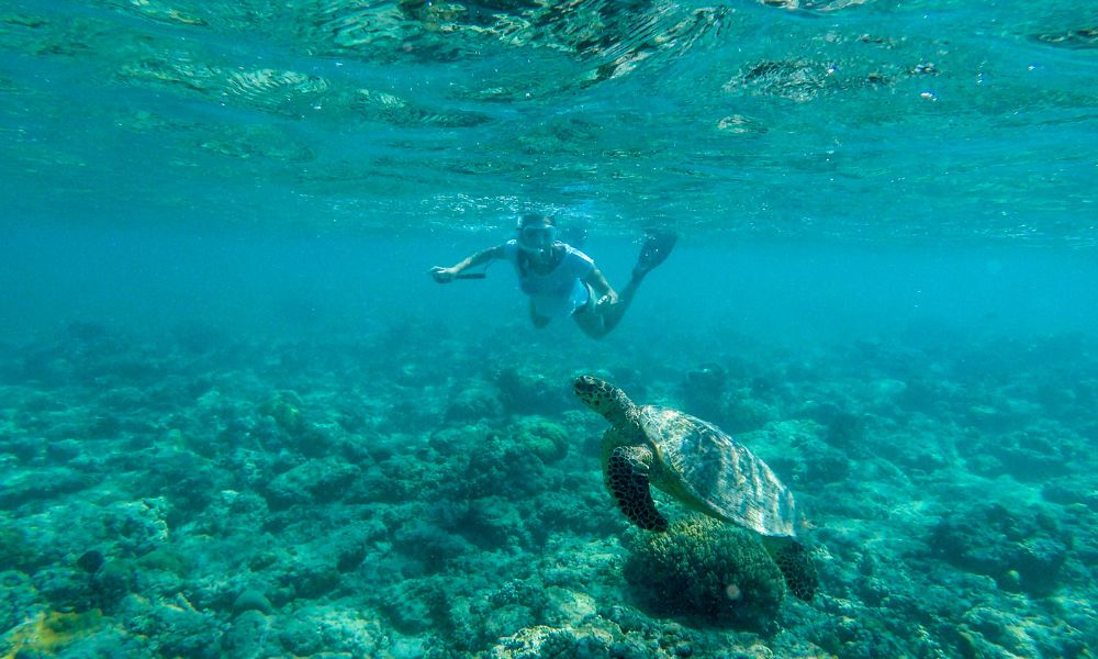 Snorkeling Gili islands