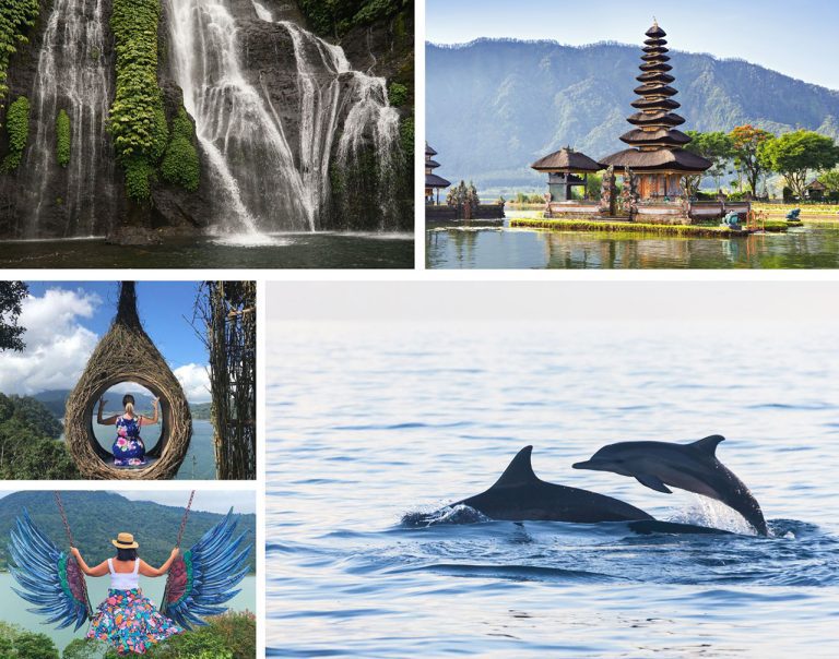 Ultimate Guide to Bali Dolphin Tour