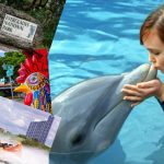 10 Fun Things to Do in Miami for Teens