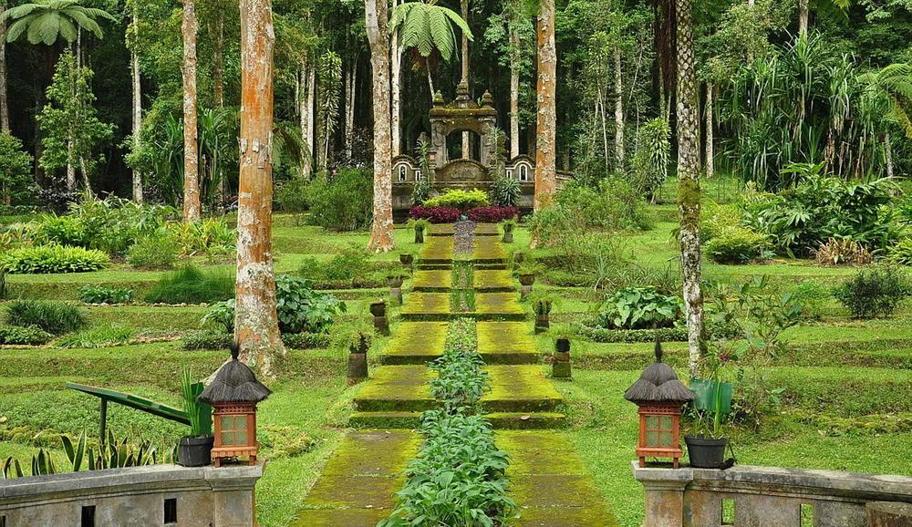 Bali Botanic Garden Best Eco-friendly Attractions