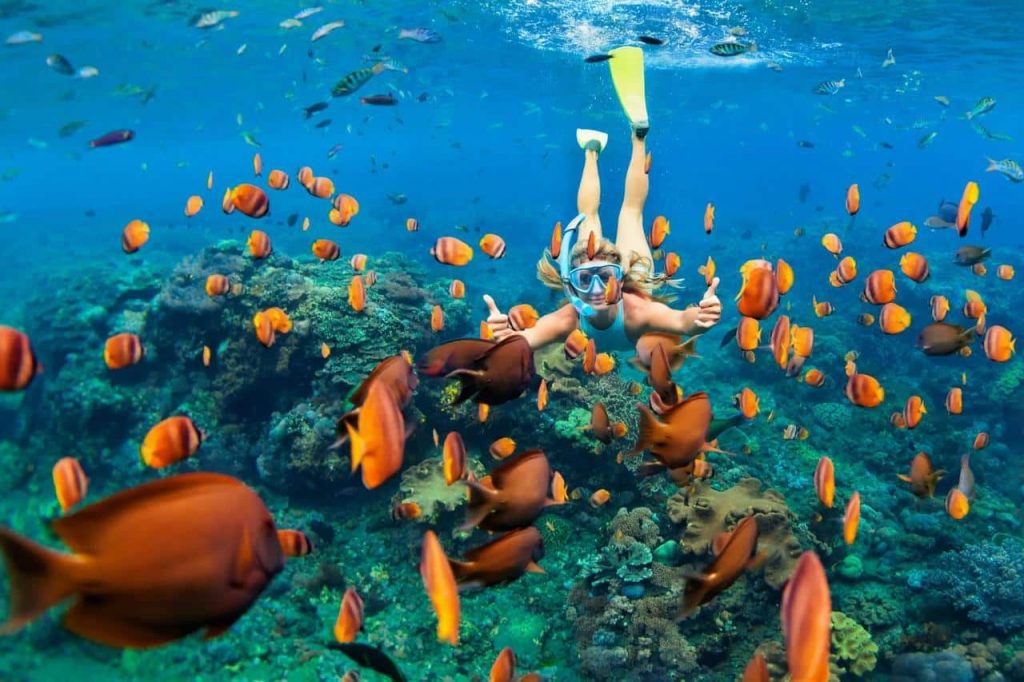 Best Snorkeling Spots in Puerto Rico