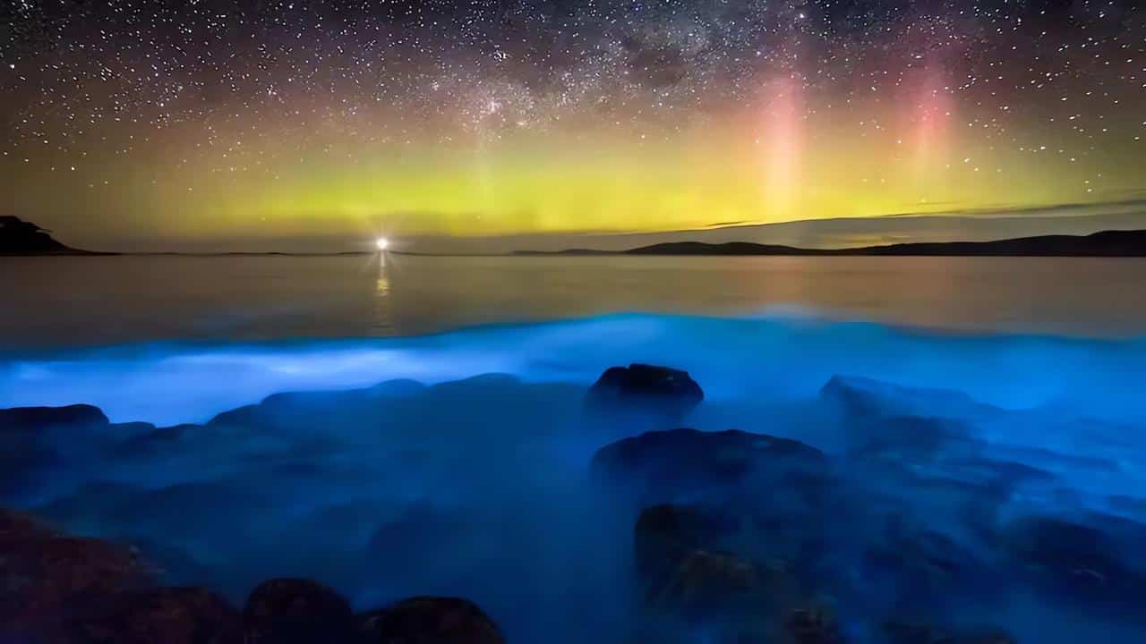 bioluminescent tour la parguera