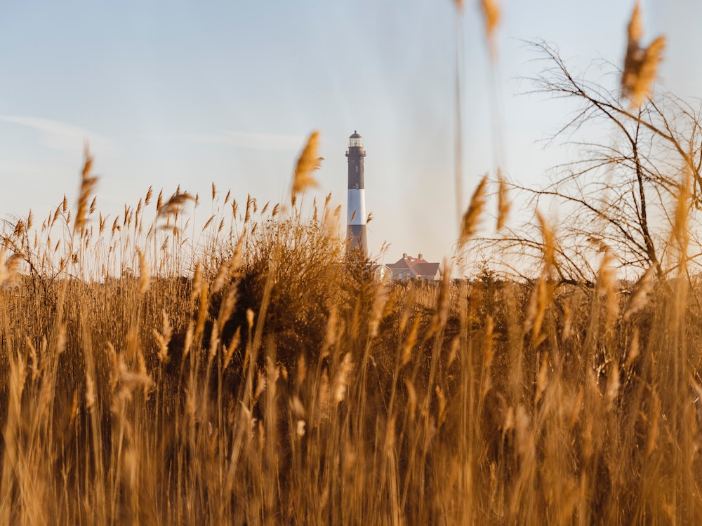 Fire Island Best Summer Vacations New York