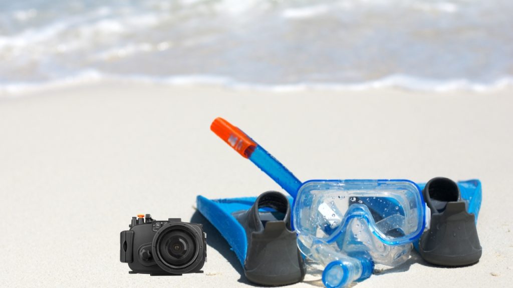 Buying Guide to Choose the Best Snorkeling Gear
