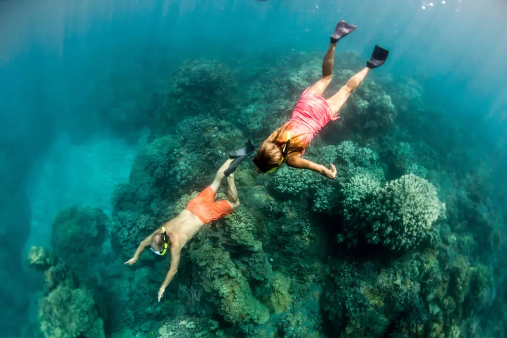 Honolua Bay is one of the best sustainable snorkeling spots in Hawaii. 