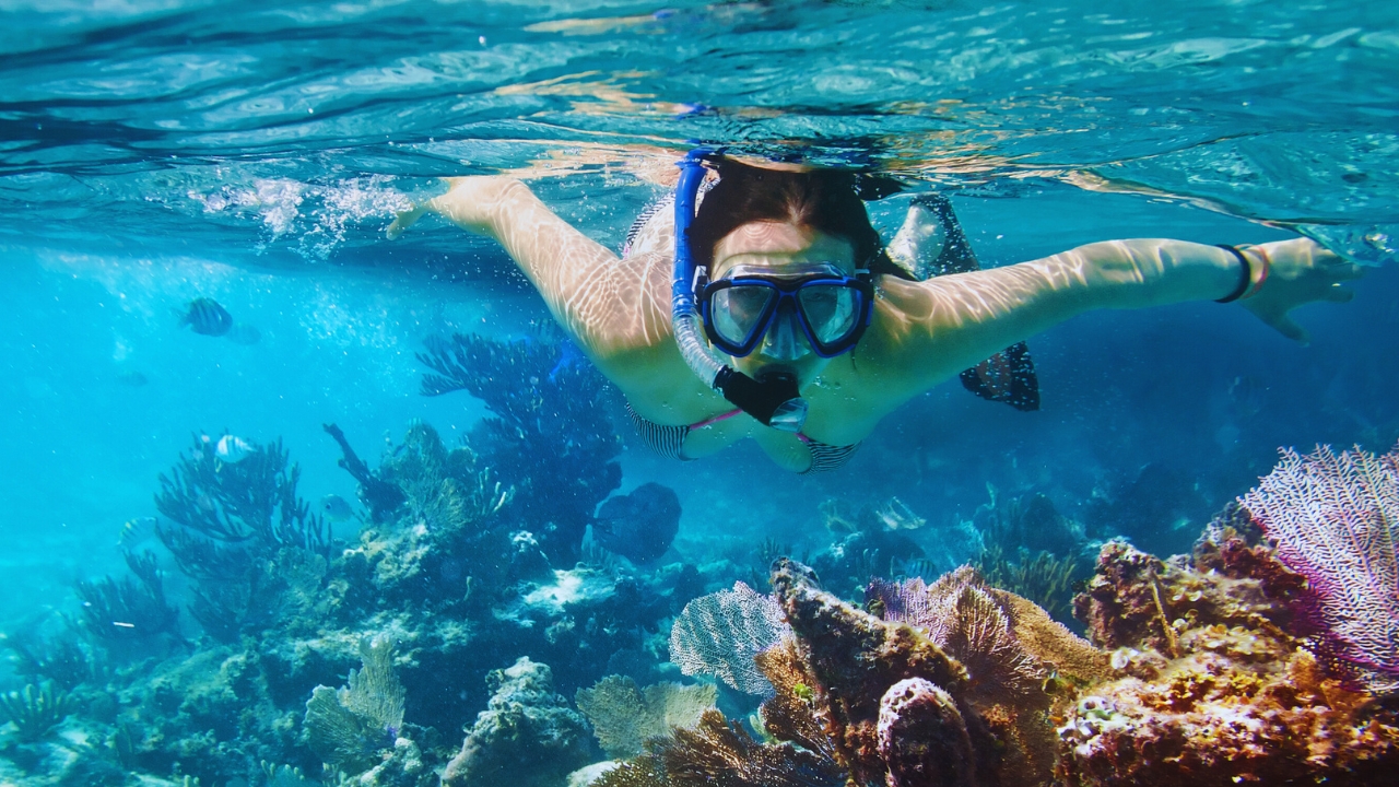 Sustainable Snorkeling Spots in Hawaii
