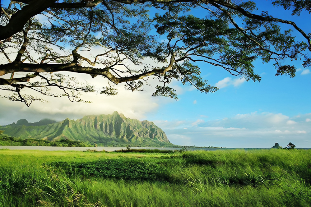 Waiahole Valley Oahu