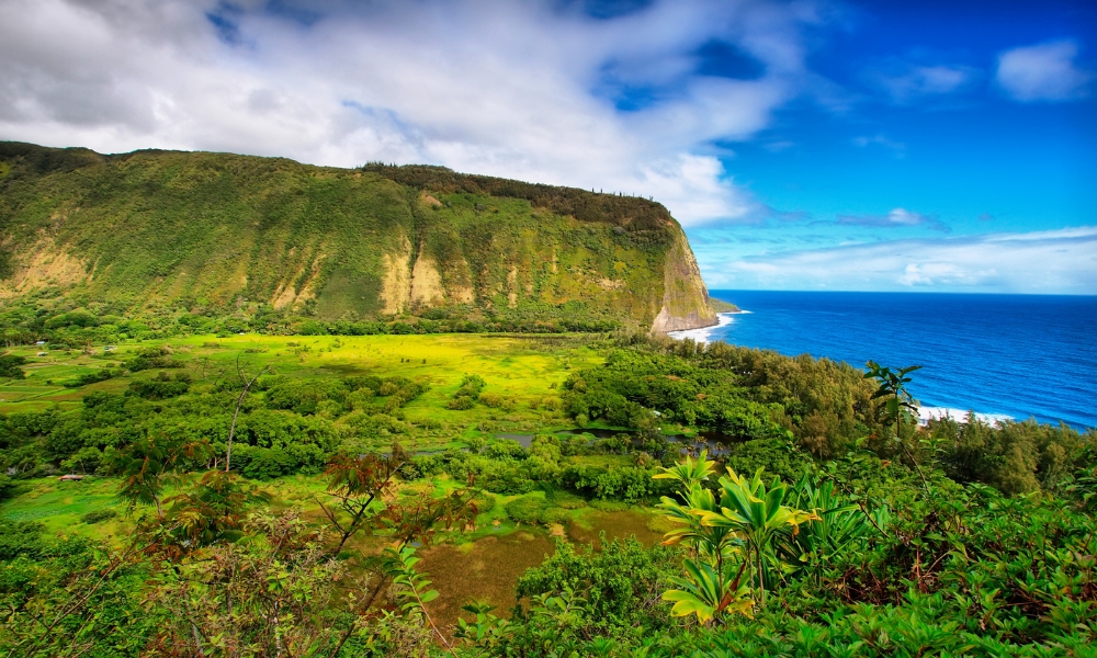 Waipio Valley Best Hiking Trails in Hawaii