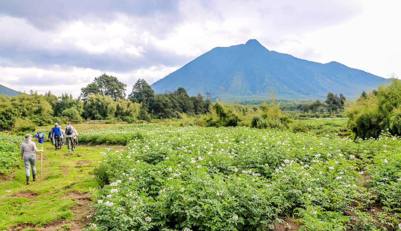 The Ultimate Guide to Sustainable Hiking Tours