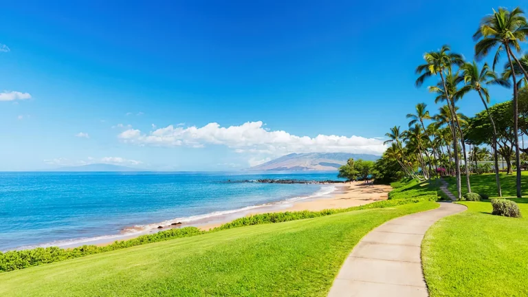 Best Time to Visit Maui Hawaii