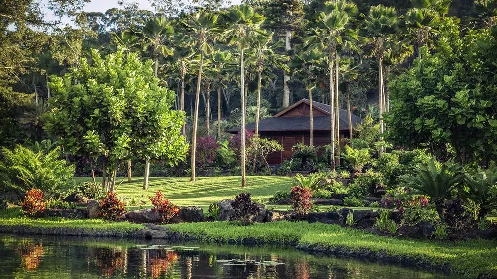 Sensei luxury wellness retreats Maui Hawaii