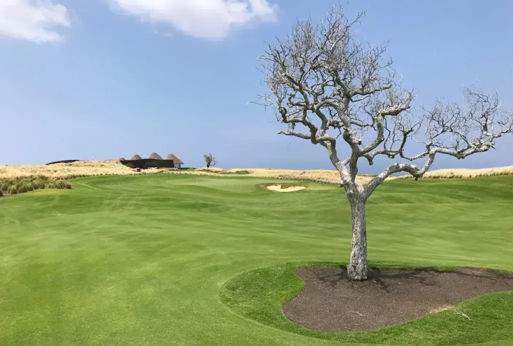 Nanea Golf Course, Big Island