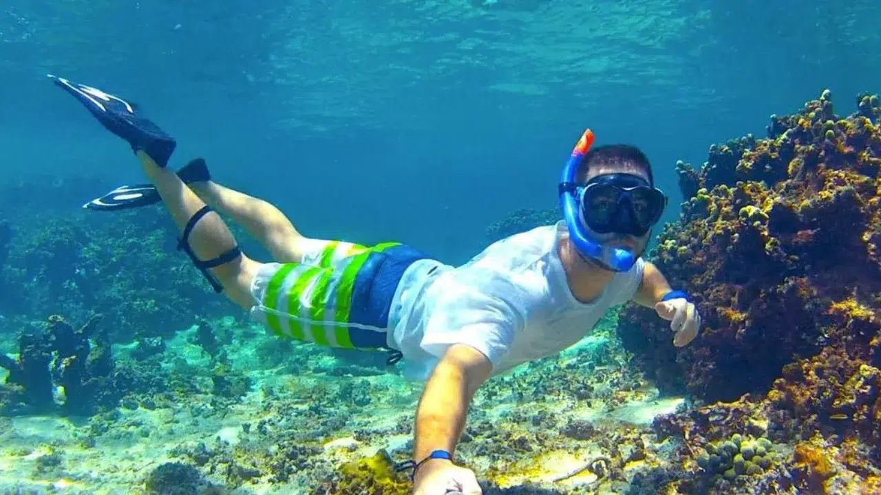 Snorkel in the Pristine Waters of Mona Island