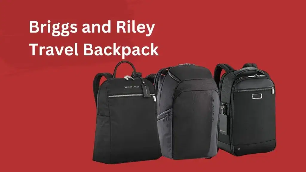 Briggs and Riley Travel Backpack