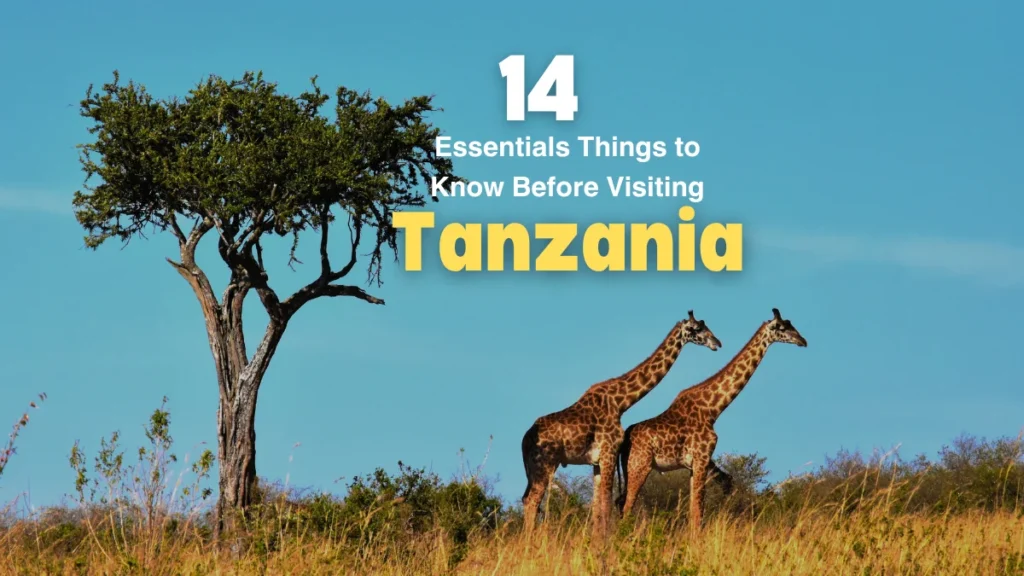 14 Essentials Things to Know Before Visiting Tanzania from USA
