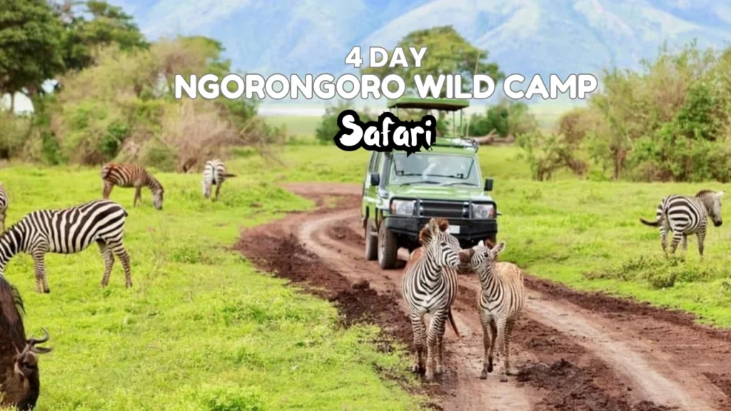 4 Day Ngorongoro Wild Camp Safari