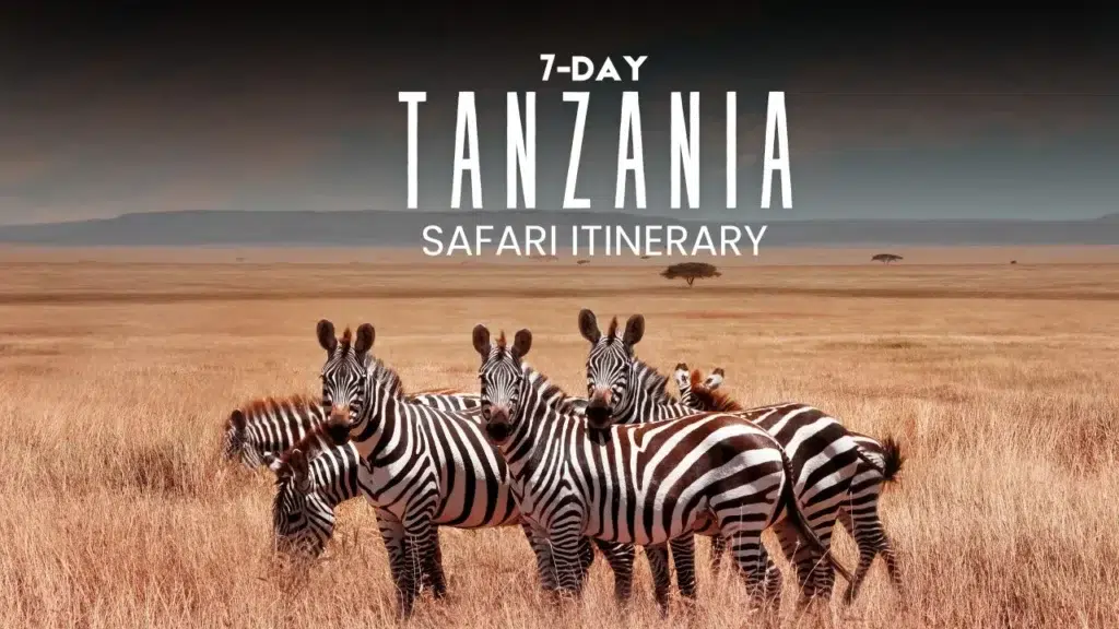 7-Day Tanzania Safari Itinerary