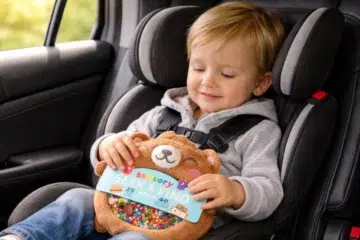 Travel Toys Toddler playing with sensory bear toy