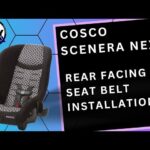 Cosco Scenera Next car seat installed rear-facing in an airplane seat
