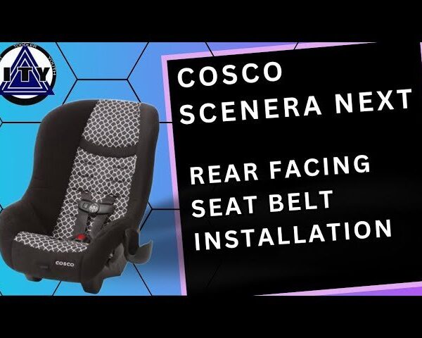 Cosco Scenera Next car seat installed rear-facing in an airplane seat